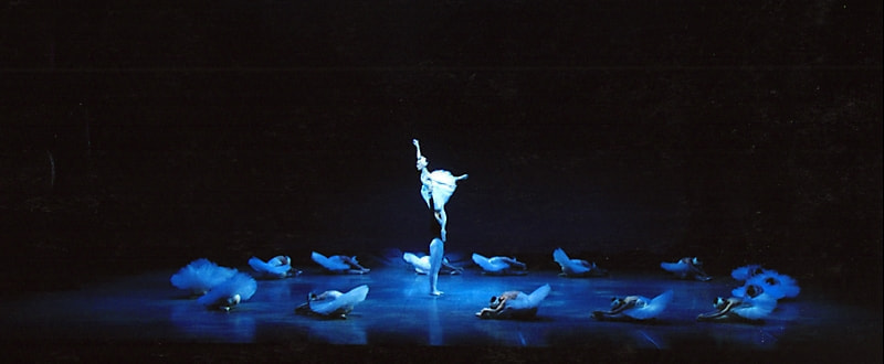 第12回発表会白鳥の湖